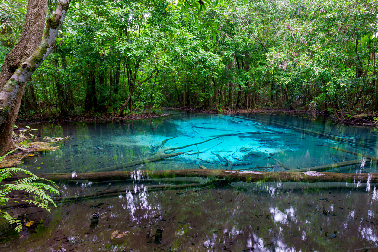 Emerald Pool at Krabi Province, Thailand. Amazing nature crystal clear emerald canal. Beautiful nature landscape